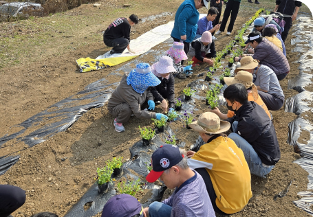 동그라미 마을 통합지원 사진 3